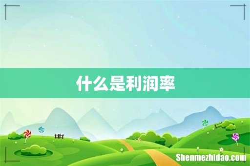 什么是利润率