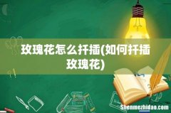 如何扦插玫瑰花 玫瑰花怎么扦插