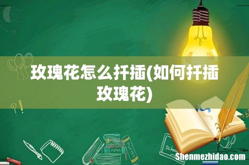 如何扦插玫瑰花 玫瑰花怎么扦插