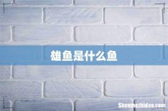 雄鱼是什么鱼