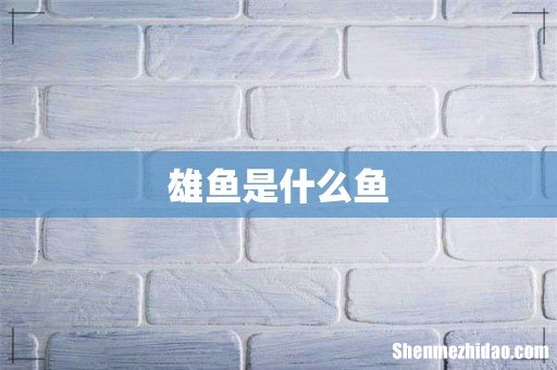 雄鱼是什么鱼