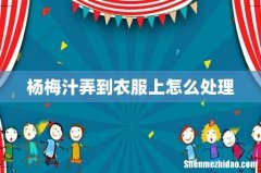 杨梅汁弄到衣服上怎么处理