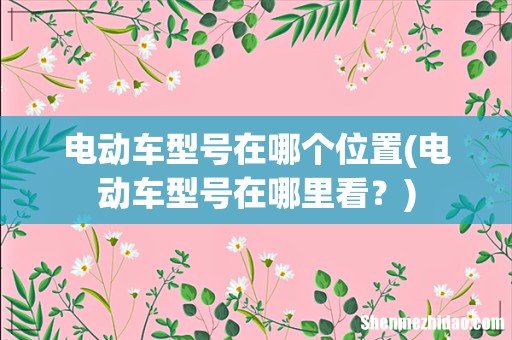 电动车型号在哪里看? 电动车型号在哪个位置