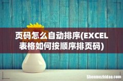 EXCEL表格如何按顺序排页码 页码怎么自动排序