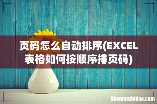 EXCEL表格如何按顺序排页码 页码怎么自动排序