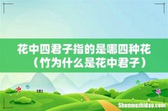 竹为什么是花中君子 花中四君子指的是哪四种花