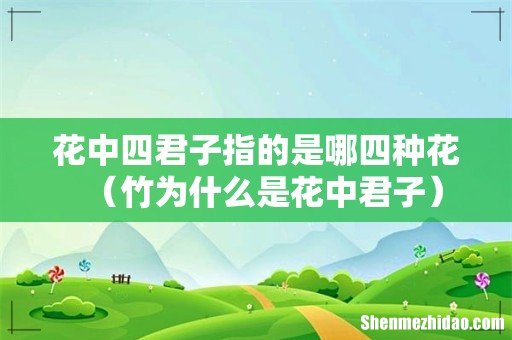 竹为什么是花中君子 花中四君子指的是哪四种花