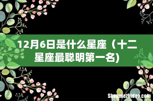 12月6日是什么星座(十二星座最聪明第一名)