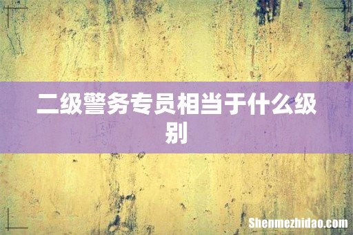 二级警务专员相当于什么级别