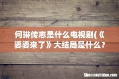 《婆婆来了》大结局是什么？ 何琳传志是什么电视剧