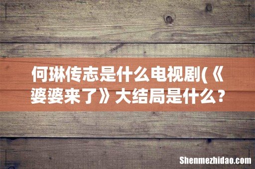 《婆婆来了》大结局是什么? 何琳传志是什么电视剧