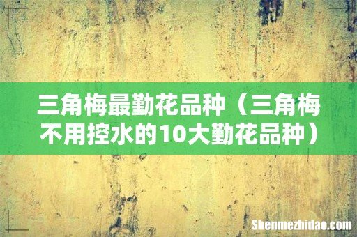 三角梅不用控水的10大勤花品种 三角梅最勤花品种