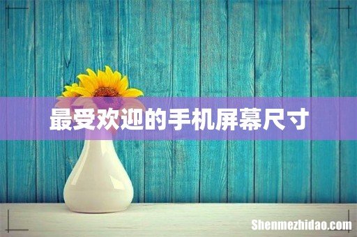 最受欢迎的手机屏幕尺寸