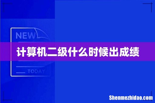 计算机二级什么时候出成绩