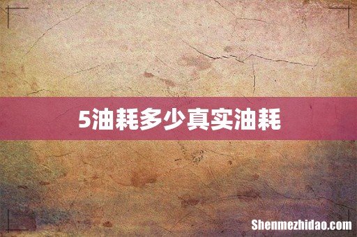 5油耗多少真实油耗