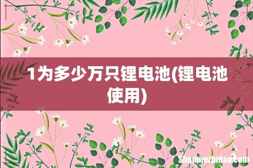 锂电池使用 1为多少万只锂电池