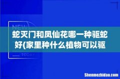 家里种什么植物可以驱蛇 蛇灭门和凤仙花哪一种驱蛇好