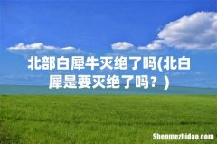 北白犀是要灭绝了吗？ 北部白犀牛灭绝了吗