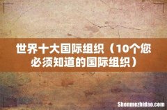 10个您必须知道的国际组织 世界十大国际组织