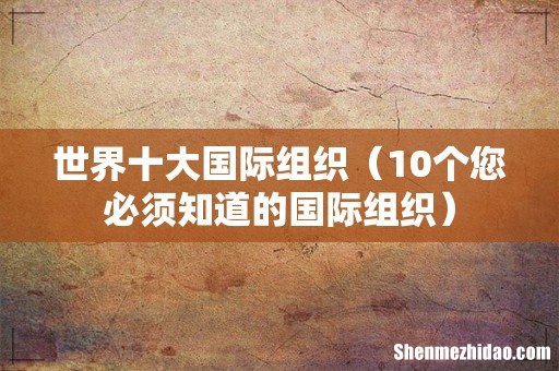 10个您必须知道的国际组织 世界十大国际组织