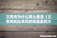 三黄鸡和白条鸡的味道差别大吗 三黄鸡为什么那么便宜
