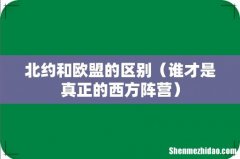 谁才是真正的西方阵营 北约和欧盟的区别