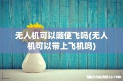 无人机可以带上飞机吗 无人机可以随便飞吗