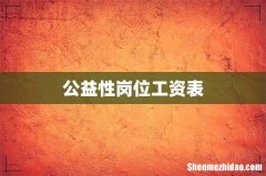 公益性岗位工资表