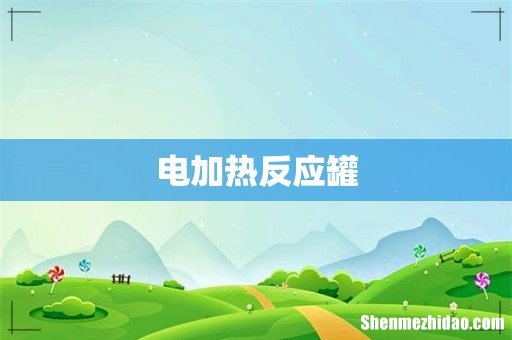 电加热反应罐