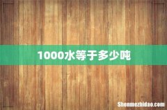 1000水等于多少吨