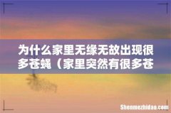 家里突然有很多苍蝇 为什么家里无缘无故出现很多苍蝇