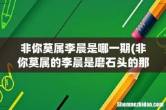 非你莫属的李晨是磨石头的那个李晨吗 非你莫属李晨是哪一期