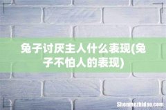 兔子不怕人的表现 兔子讨厌主人什么表现