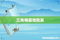 三角梅基地批发
