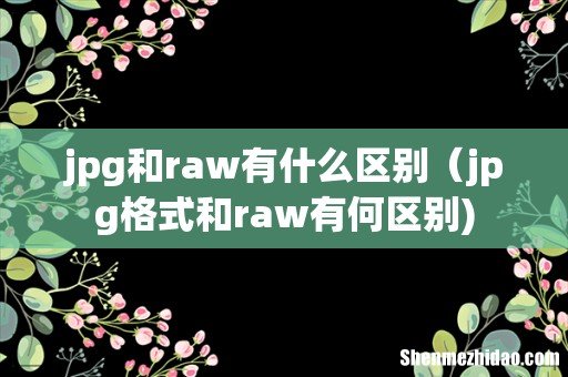 jpg和raw有什么区别（jpg格式和raw有何区别)