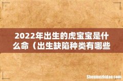 出生缺陷种类有哪些 2022年出生的虎宝宝是什么命
