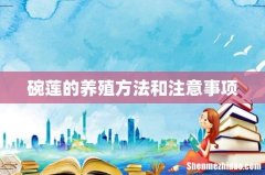 碗莲的养殖方法和注意事项