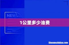 1公里多少油费