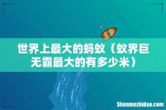 蚁界巨无霸最大的有多少米 世界上最大的蚂蚁