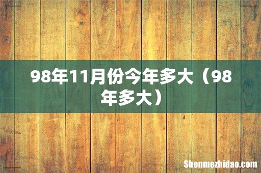 98年多大 98年11月份今年多大