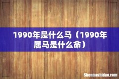 1990年属马是什么命 1990年是什么马