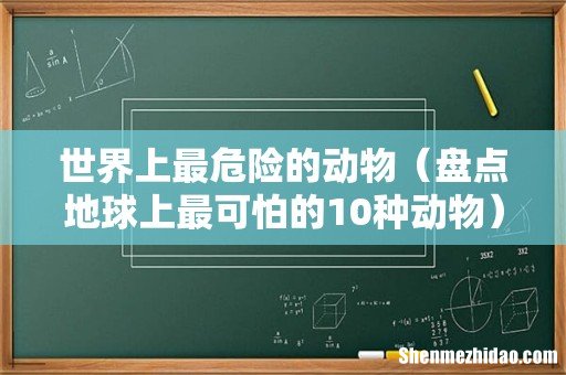 盘点地球上最可怕的10种动物 世界上最危险的动物