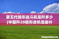 中国歼20隐形战机是由什么组成的？ 第五代隐形战斗机是歼多少