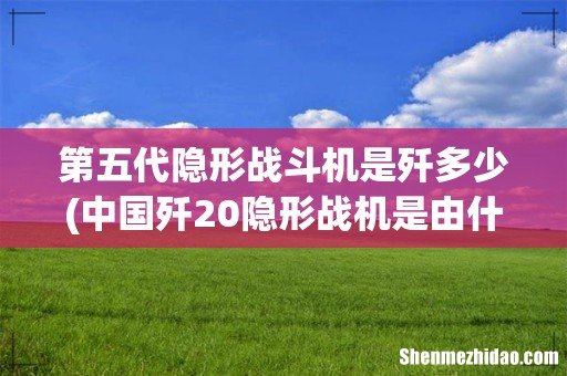 中国歼20隐形战机是由什么组成的? 第五代隐形战斗机是歼多少