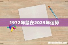 1972年鼠在2023年运势