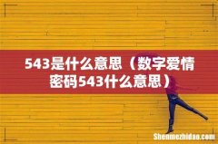 数字爱情密码543什么意思 543是什么意思