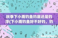 下小雨钓鱼好不好钓，钓深还是钓浅 秋季下小雨钓鱼钓底还是钓浮
