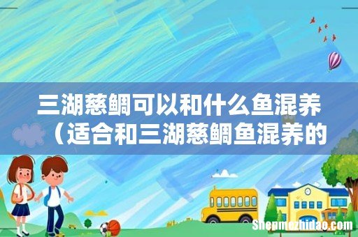 适合和三湖慈鲷鱼混养的鱼品种 三湖慈鲷可以和什么鱼混养