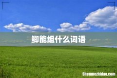 鲫能组什么词语