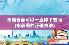 水养葱的正确方法 水培香葱可以一直种下去吗